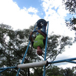 COPACOL 06-03-26 072