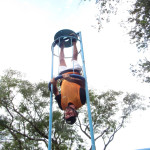 COPACOL 06-03-26 073