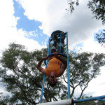 COPACOL 06-03-26 082