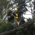 Copacol - 16.03.26 071