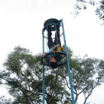 Copacol - 16.03.26 090