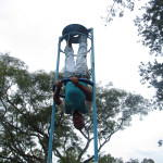 Copacol - 16.03.26 102