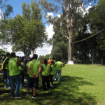Copacol - 19.03.26 047