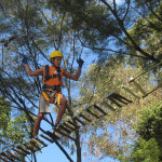 Copacol - 19.03.26 063