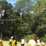 Copacol - 06.04.26 050 Copacol - 06.04.26 050
