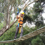 Copacol - 15.04.26 064