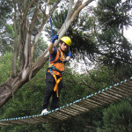 Copacol - 15.04.26 080