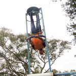 Copacol - 15.04.26 107