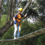 Copacol - 20.04.26 055