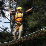 Copacol - 20.04.26 073