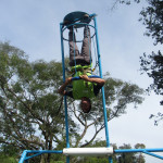 Copacol - 20.04.26 125