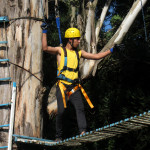 COPACOL - 01.05.26 127