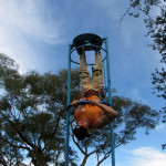 COPACOL - 27.04.26 120