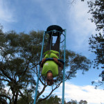 COPACOL - 27.04.26 121